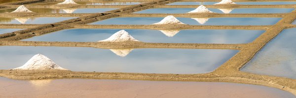Peut-on trouver des campings en bord de marais salants sur l'Île de Ré ?