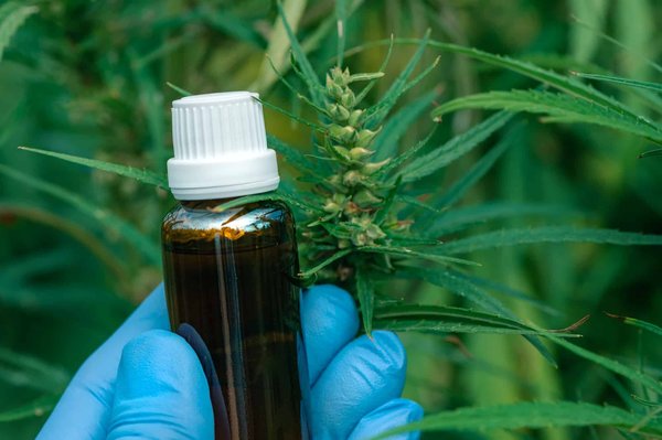 Comment choisir le CBD efficace en fonction de la situation du consommateur ?